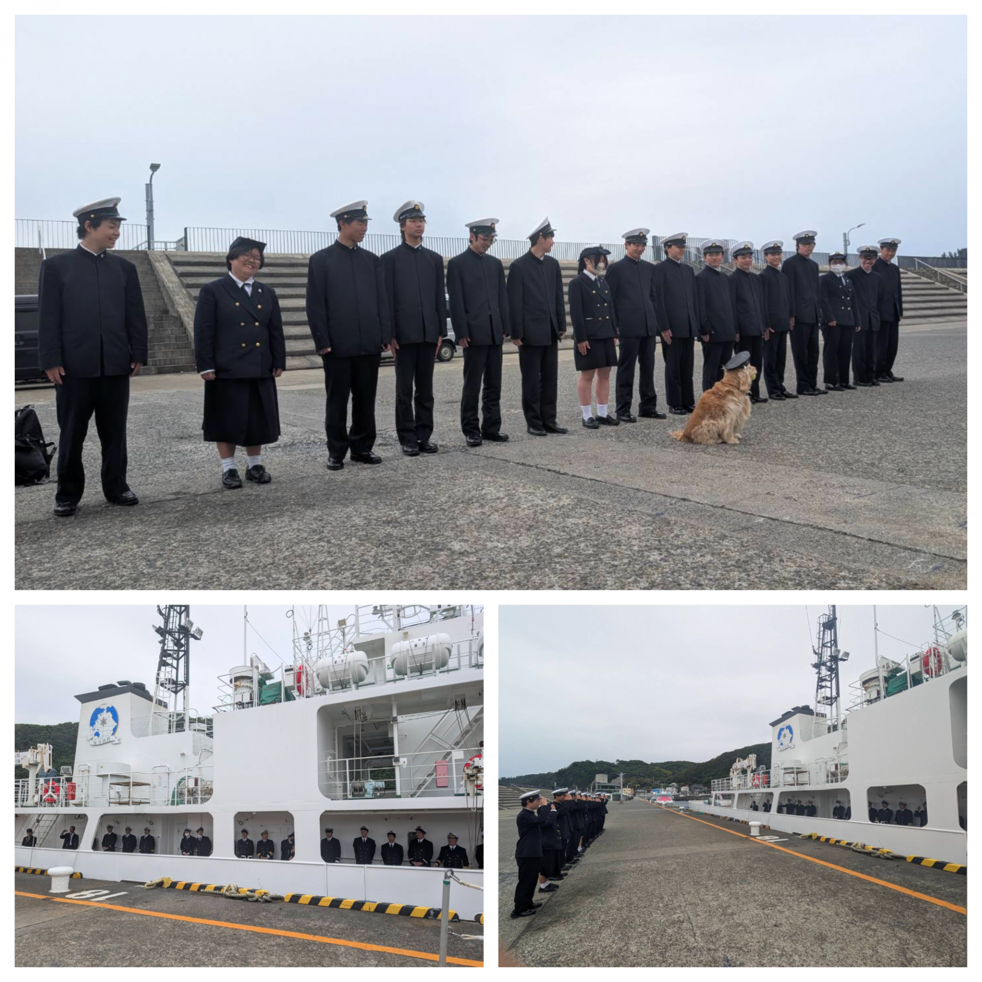 Blank 3 Grids Collage (94)